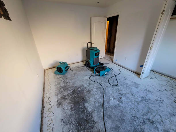 Albion, NE Water damage restoration Pros