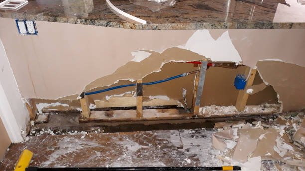 Best Water damage cleanup near me  in Albion, NE