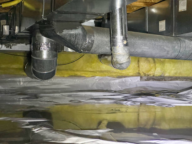 Best Fire Damage Restoration  in Albion, NE