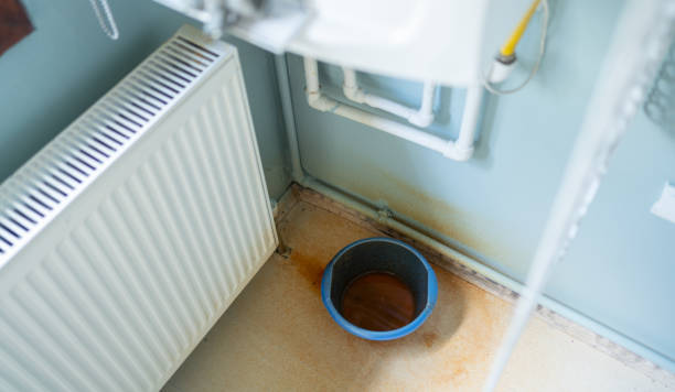 Best Sewage cleanup and water damage restoration  in Albion, NE