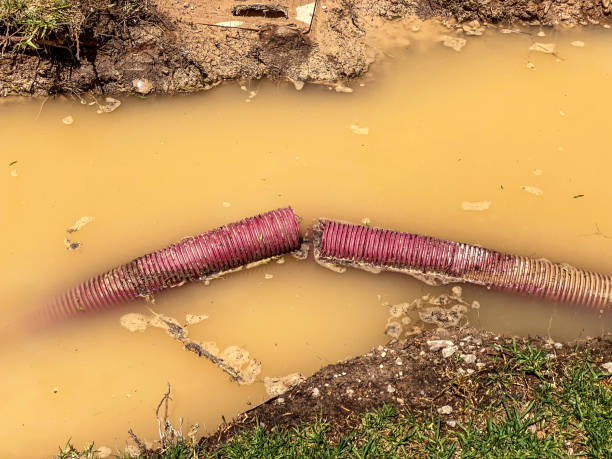 Best Local water damage restoration  in Albion, NE